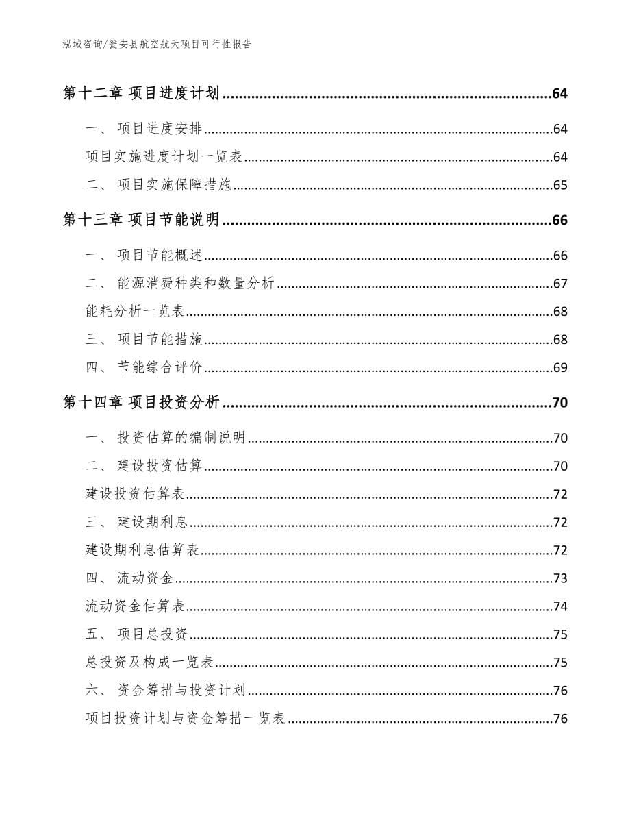 瓮安县航空航天项目可行性报告（范文模板）_第5页