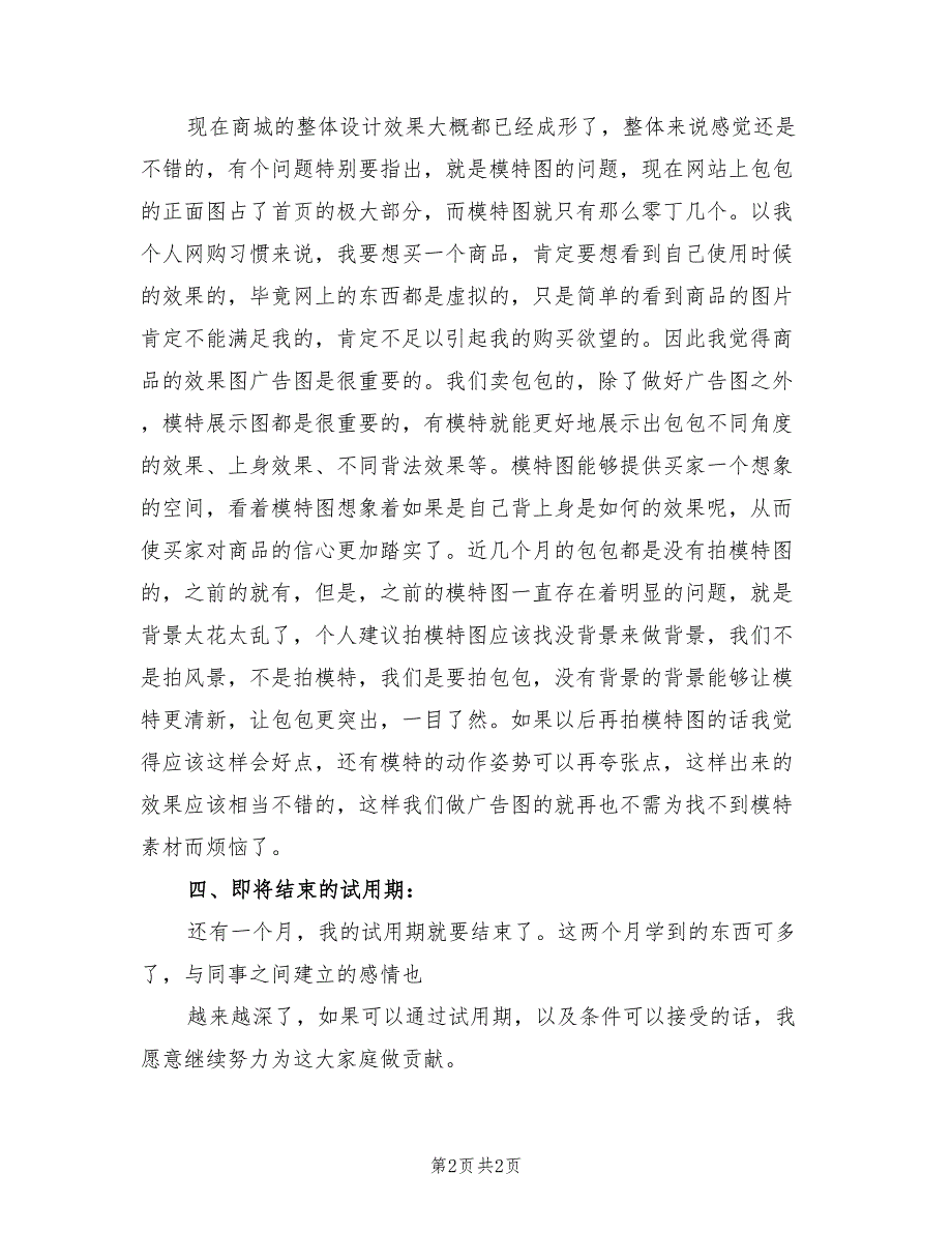 2022年淘宝美工个人工作总结_第2页