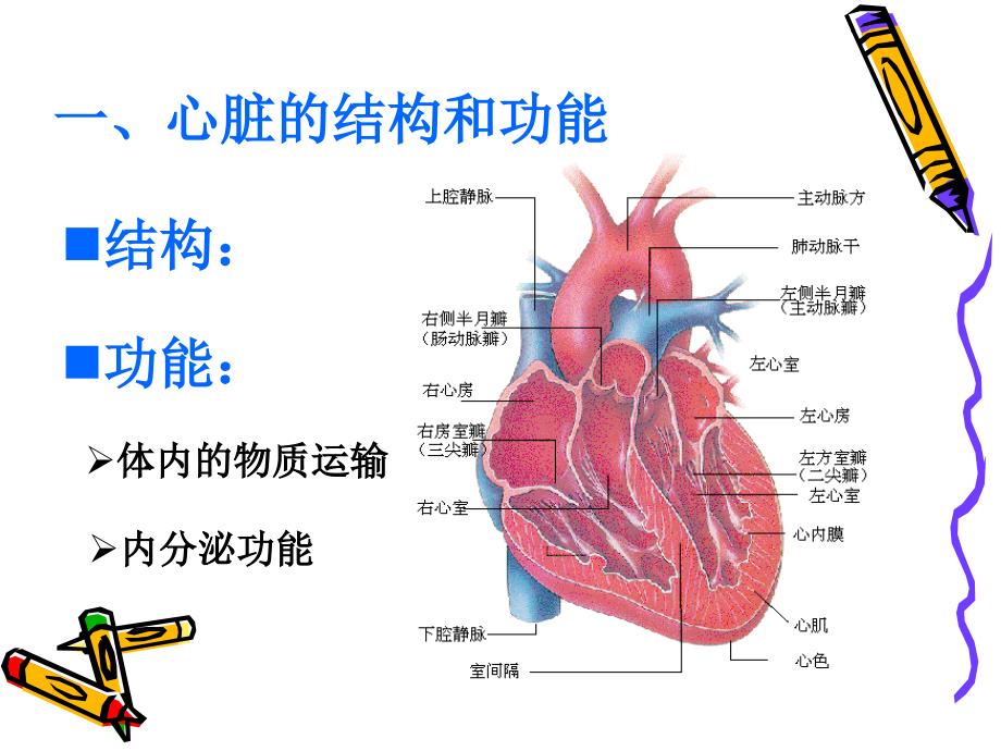 第十五部分心脏功能检验教学课件_第4页