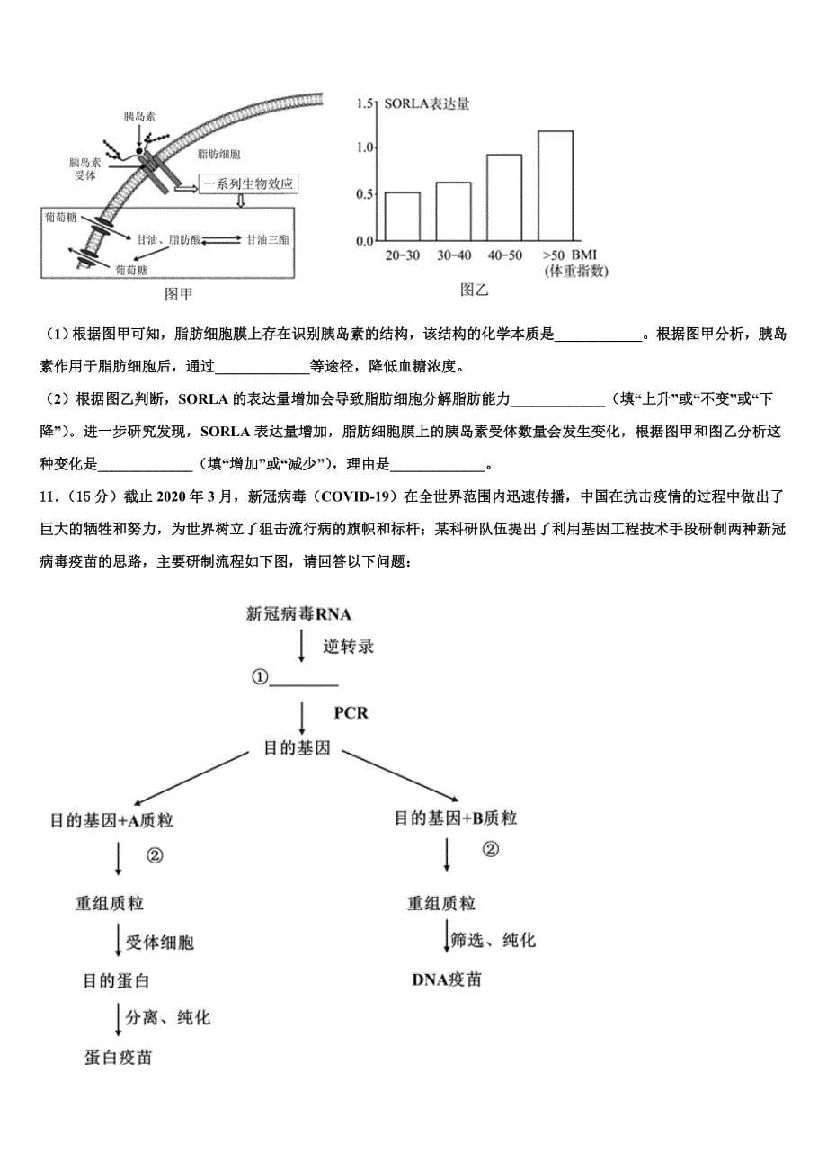 2023学年河北名校高三适应性调研考试生物试题(含解析）.doc_第5页