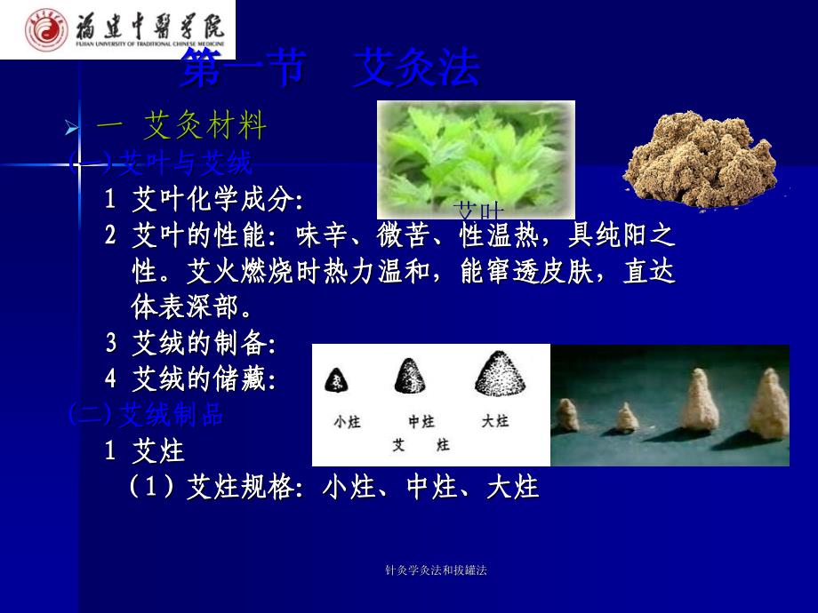 针灸学灸法和拔罐法_第3页