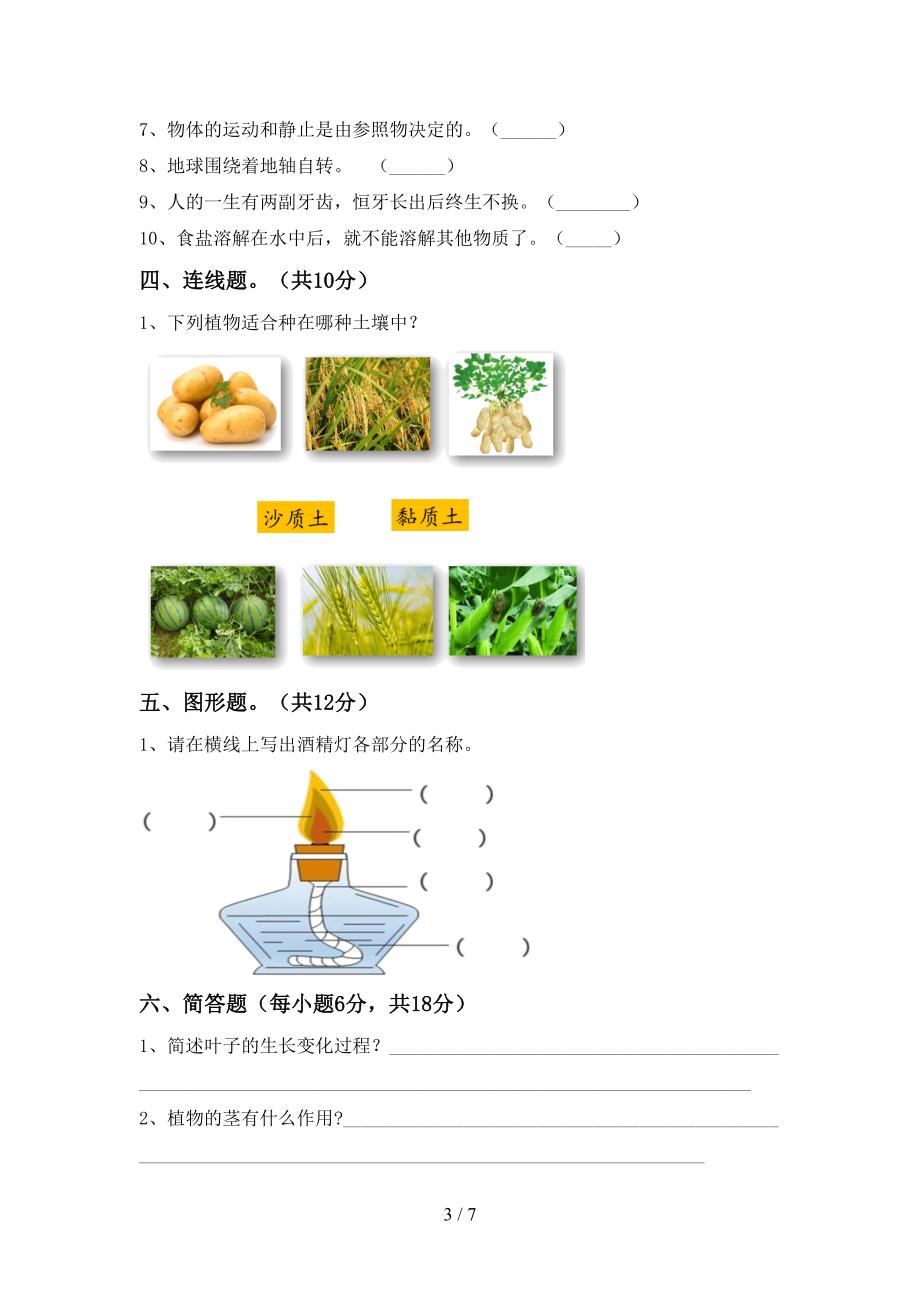 人教版三年级科学上册期中考试(A4打印版).doc_第3页