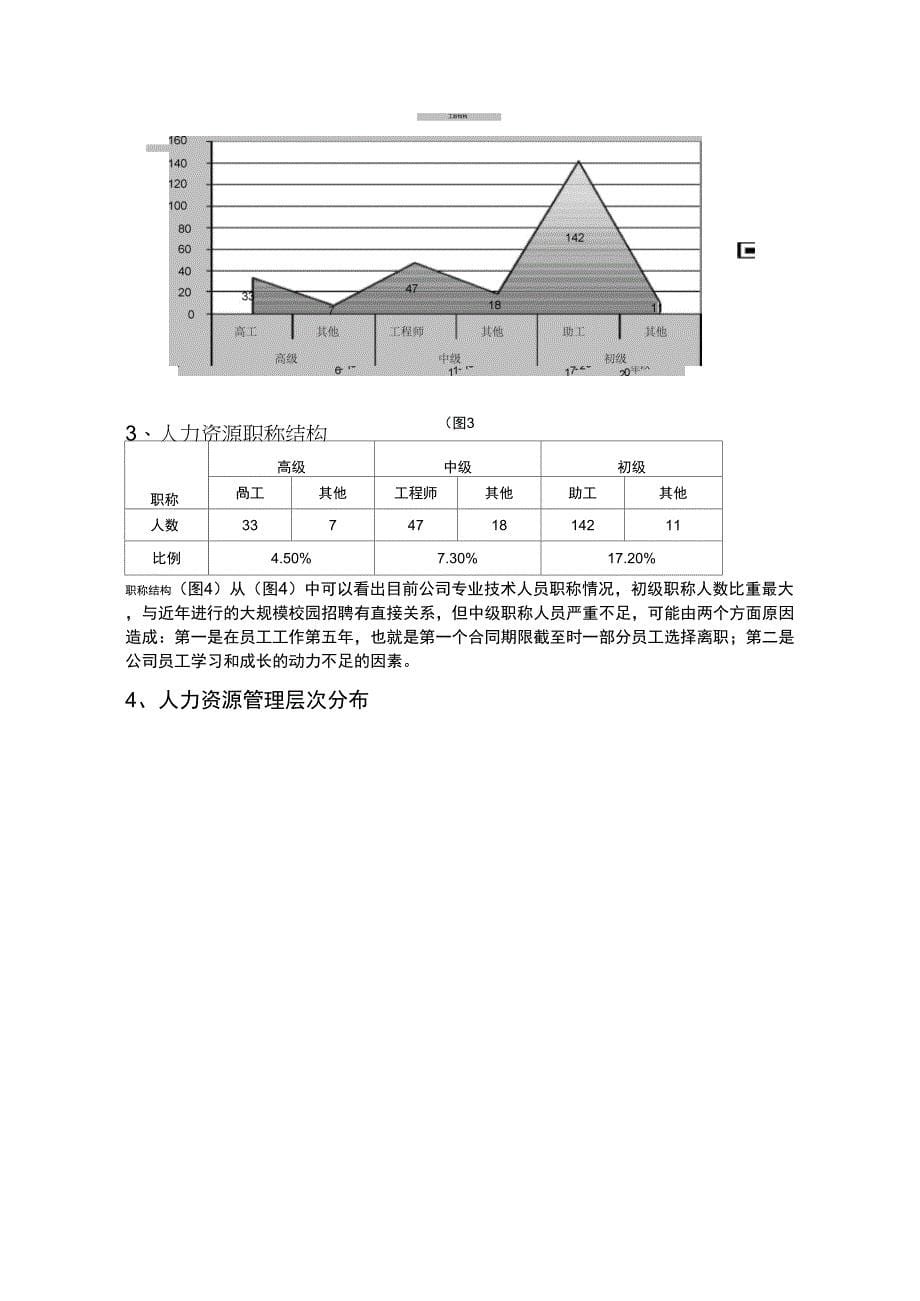 公司人力资源结构分析_第5页