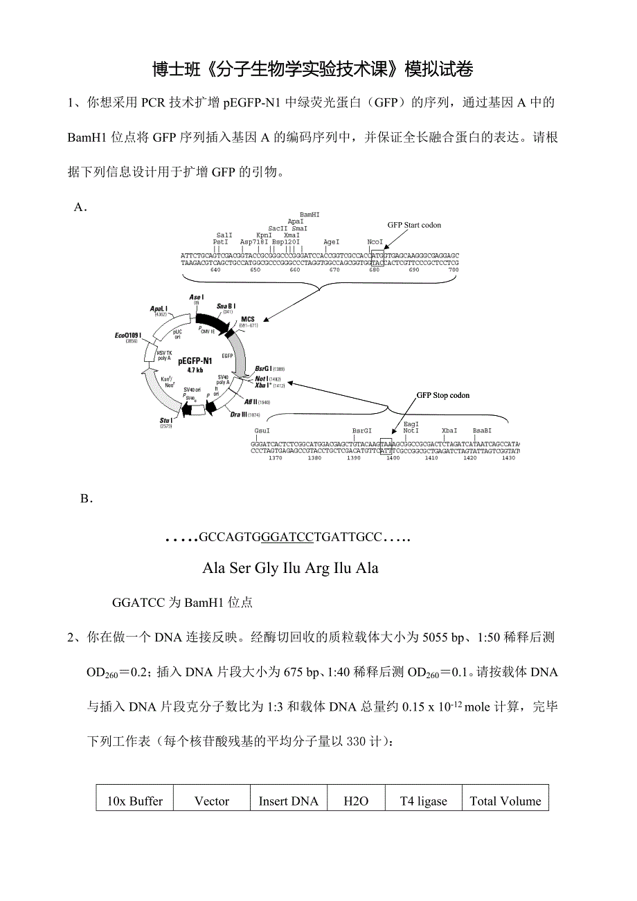 分子技术模板试卷.doc_第1页