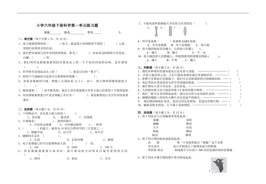 科学六年级下册试题.doc_第1页