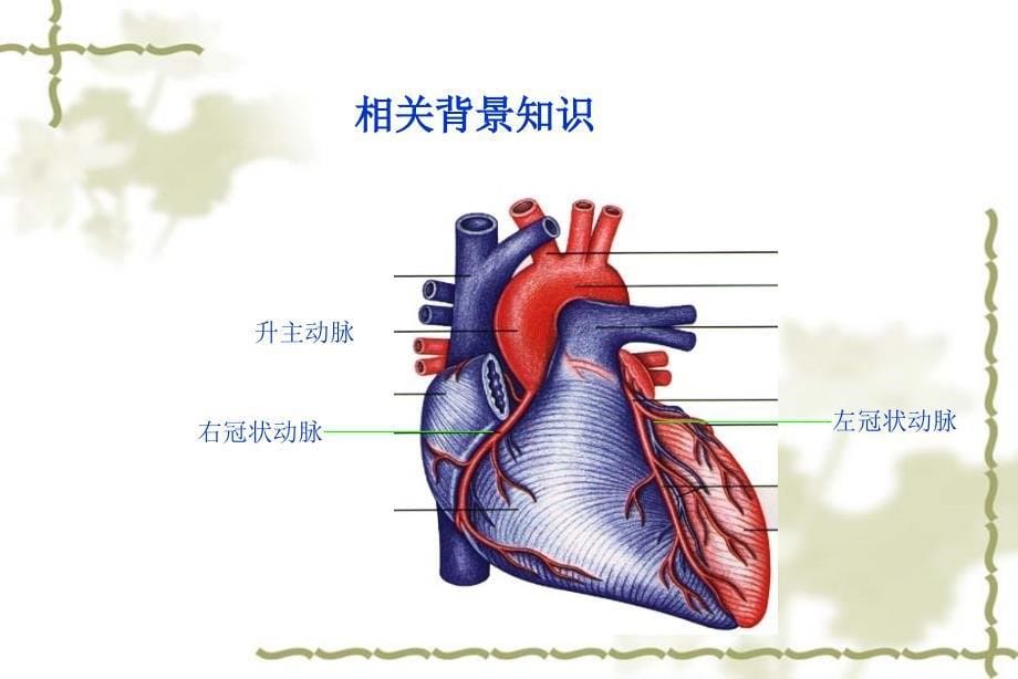 Ⅰ型夹层动脉瘤并发术后肺不张_第5页