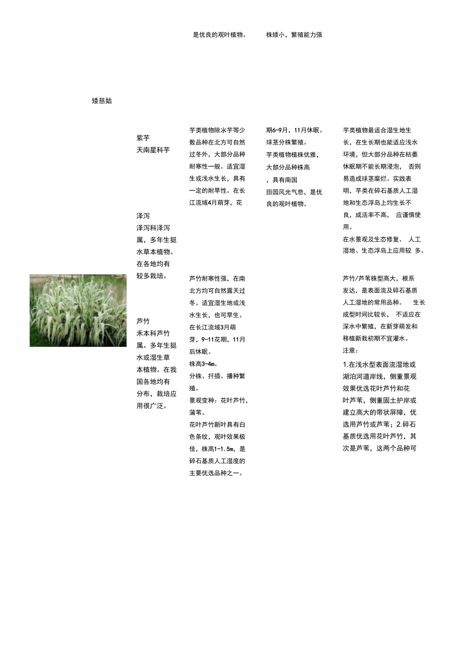 常用水生植物种类总结复习进程_第4页