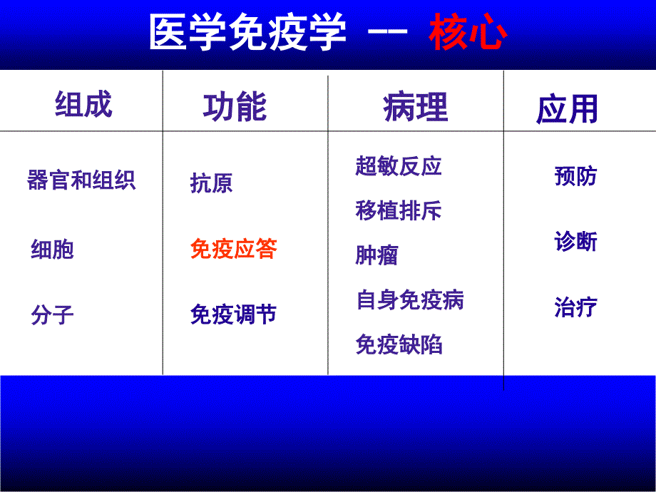 医学免疫学课件：免疫耐受与自身免疫_第3页