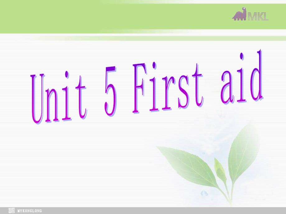 必修五 5.5 Unit 5 First Aid_第2页