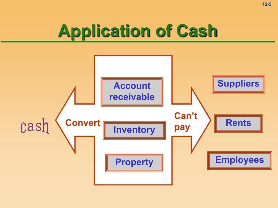 Chapter12CashandMarketableSecurities_第5页