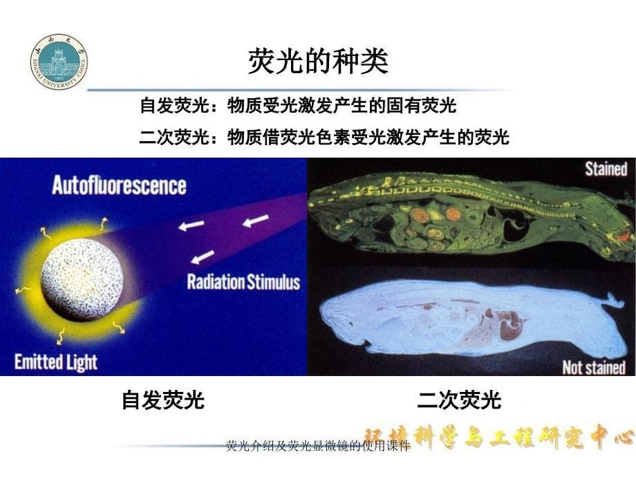 荧光介绍及荧光显微镜的使用课件_第5页