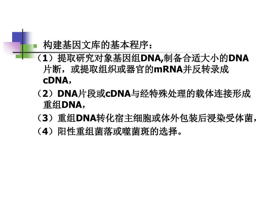 DNA和CDNA文库构建_第5页