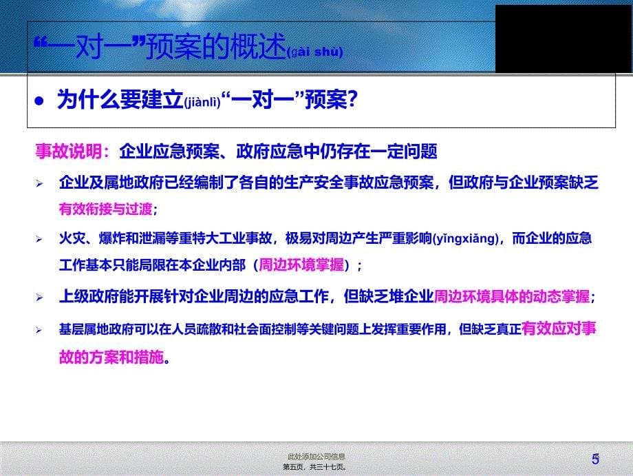 大兴区城市安全风险评估试点企业一对一重大危险源应急预案培训资料_第5页