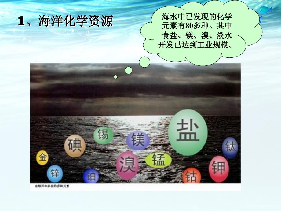 海洋资源的开发和利用.ppt_第4页