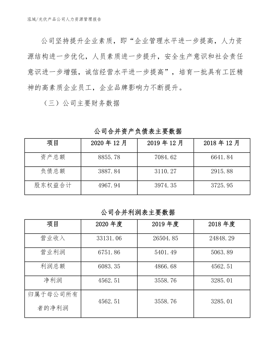 光伏产品公司人力资源管理报告_第4页