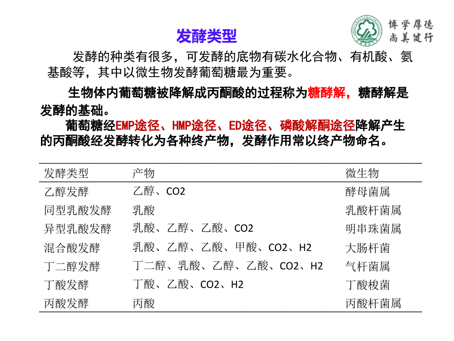 微生物的产能代谢_第4页