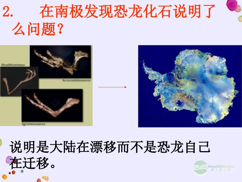 《恐龙无处不在》_第3页