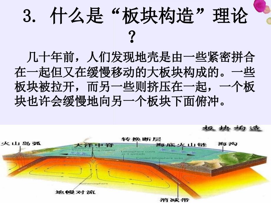 《恐龙无处不在》_第4页