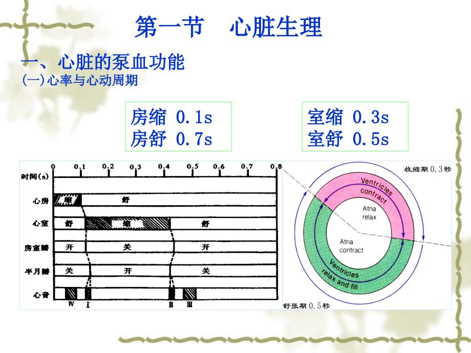 循环系统血液循环体液循环人体生理学课件_第2页