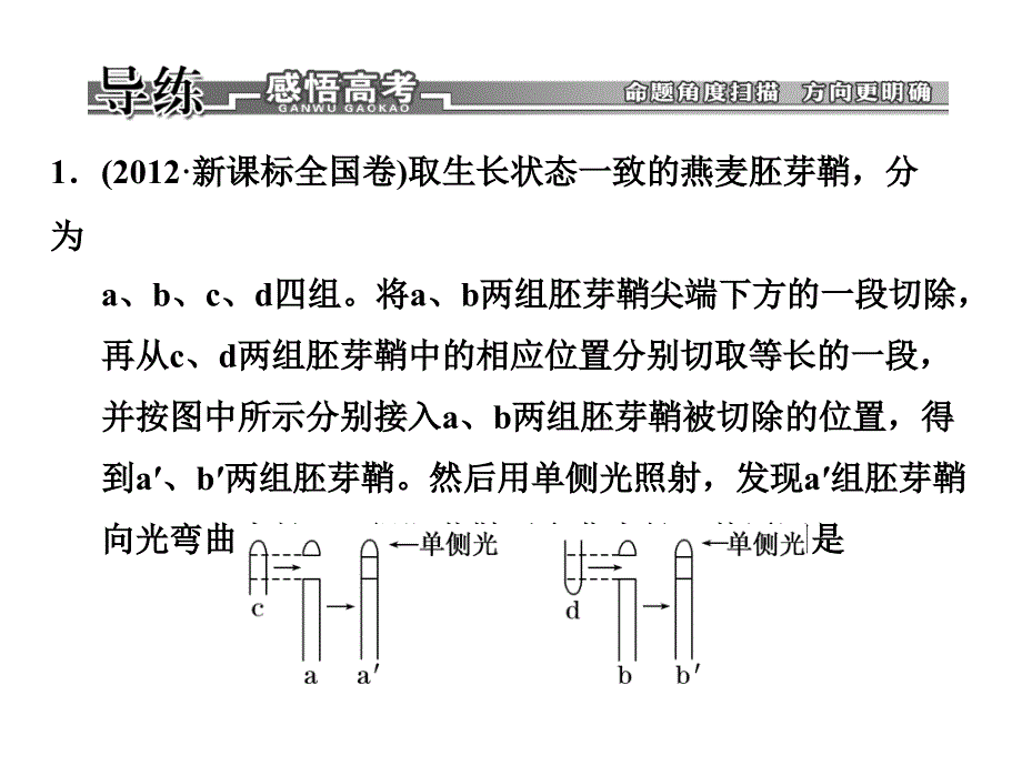 专题12植物生命活动的调节_第3页