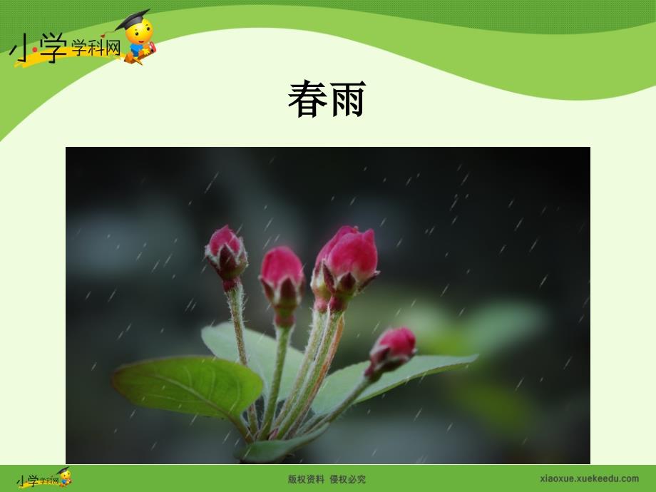 《春雨》课件_第4页