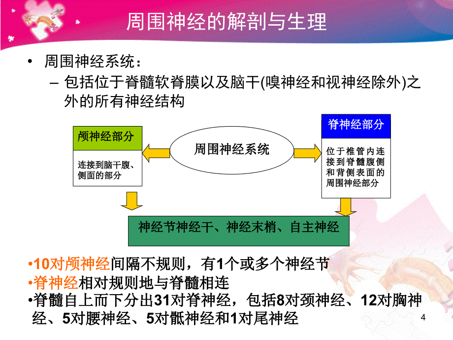 PN学习班周围神经病总论丁正同FZ_第4页