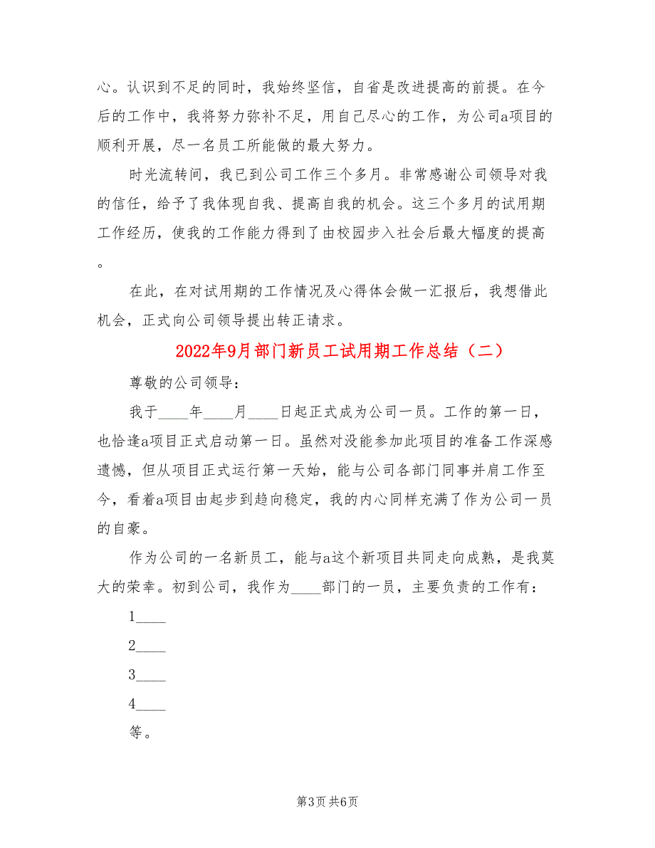 2022年9月部门新员工试用期工作总结_第3页