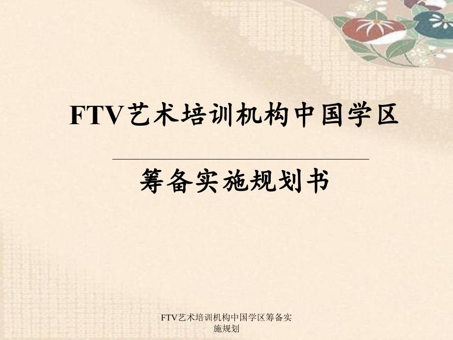 FTV艺术培训机构中国学区筹备实施规划_第1页