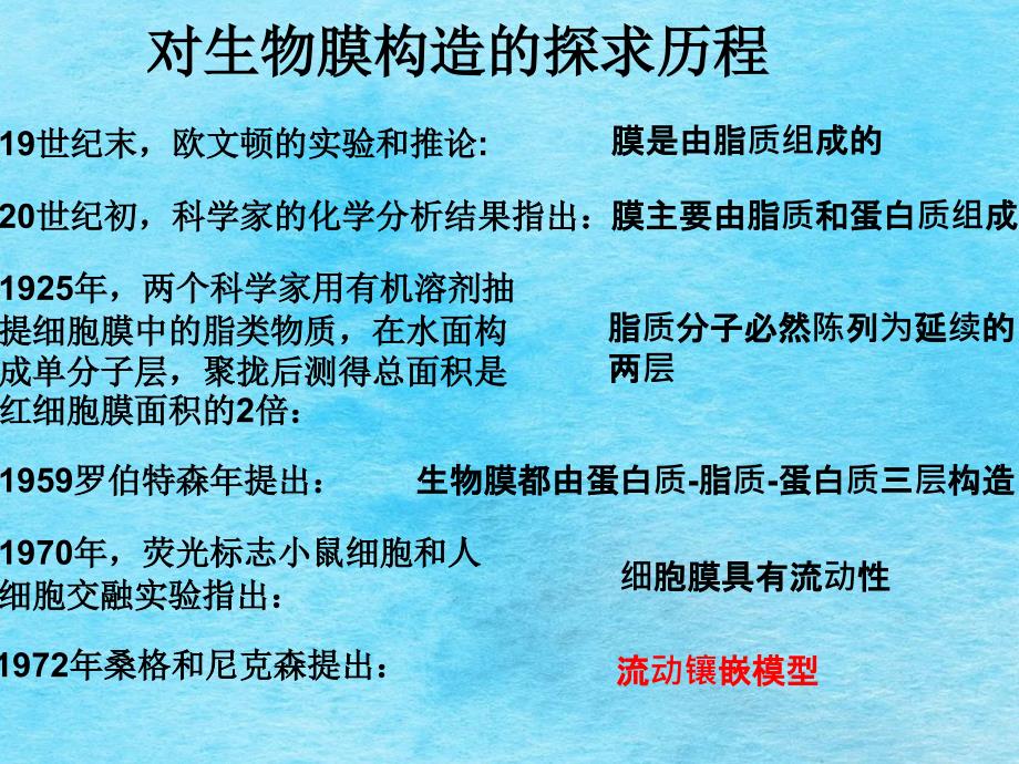 磷脂双分子层构成了细胞膜的基本骨架ppt课件_第4页