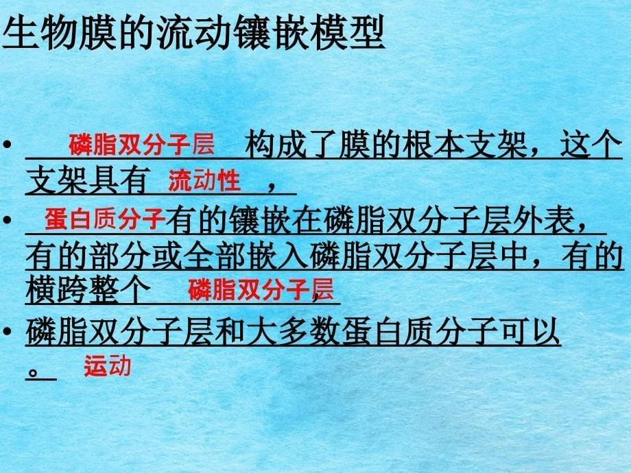 磷脂双分子层构成了细胞膜的基本骨架ppt课件_第5页