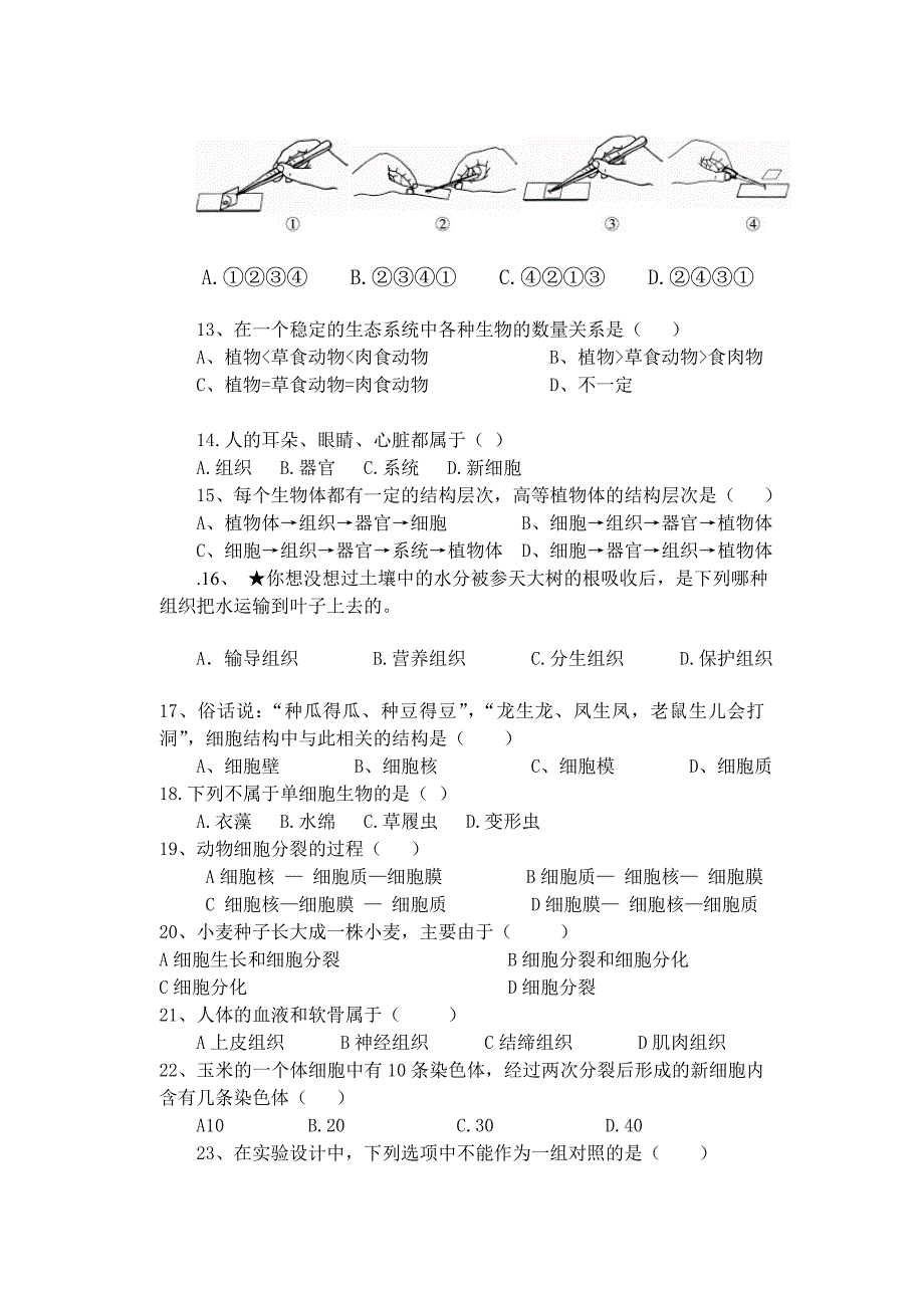 七年级上学期生物期中模拟试卷_第2页