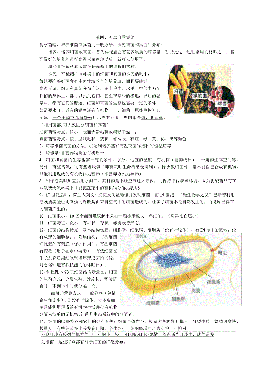 八年级生物上册细菌真菌病毒自学提纲_第1页