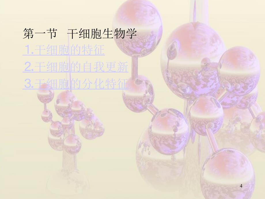 细胞生物学干细胞ppt课件_第4页