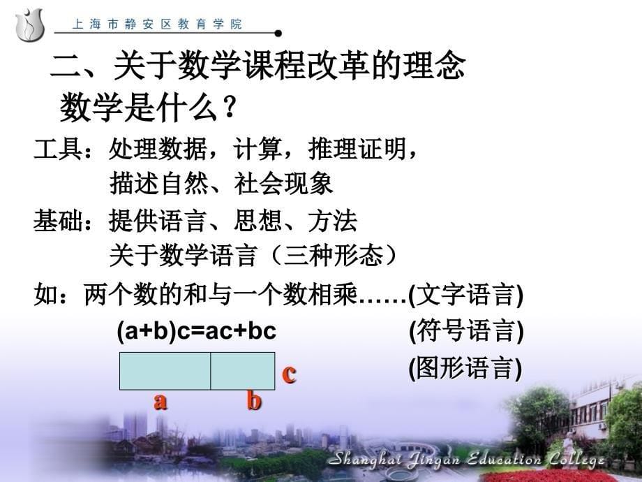 上海市静安区教育学院曹培英小学数学教学设计的有效性_第5页