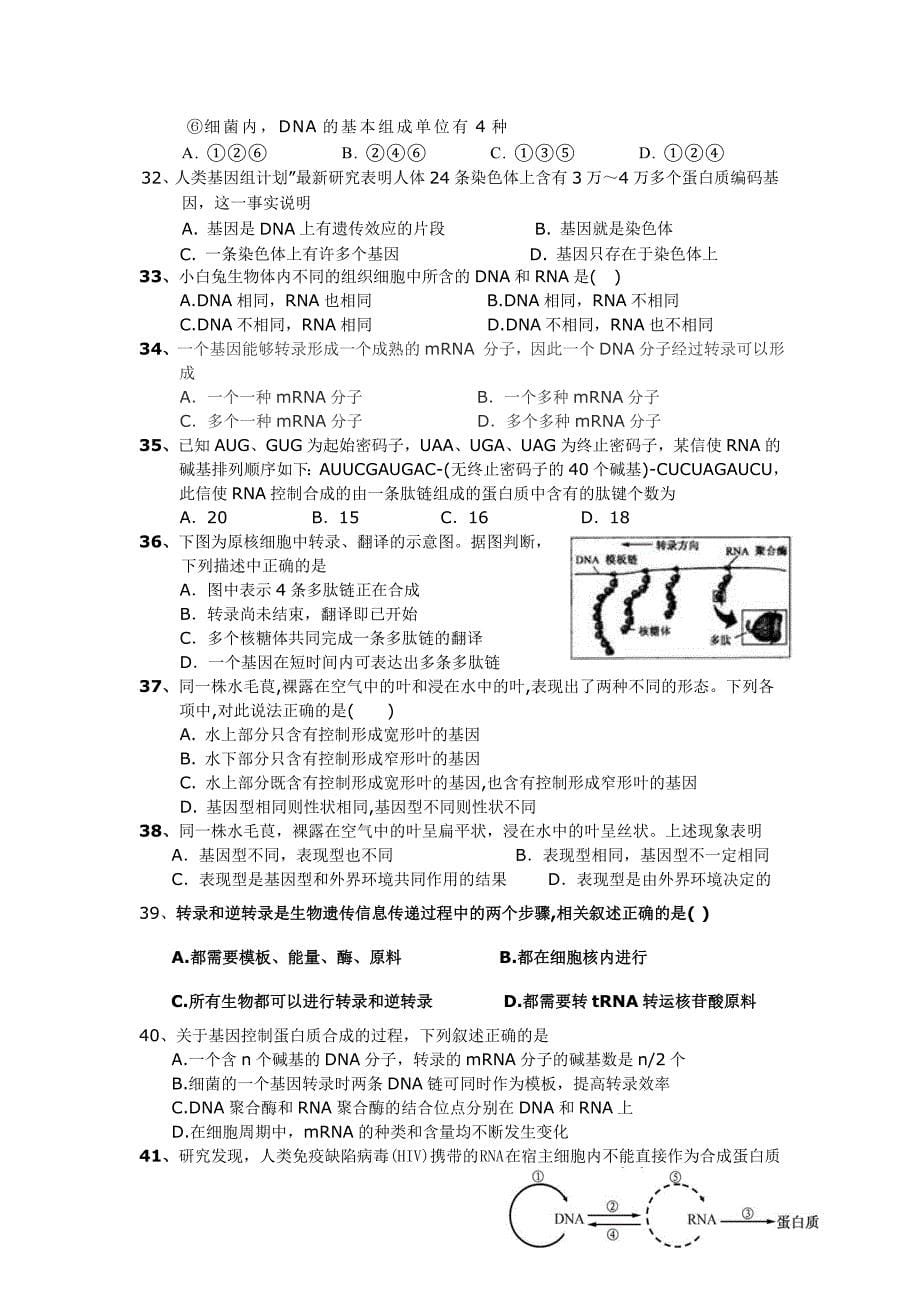 高二生物遗传的分子基础_第5页