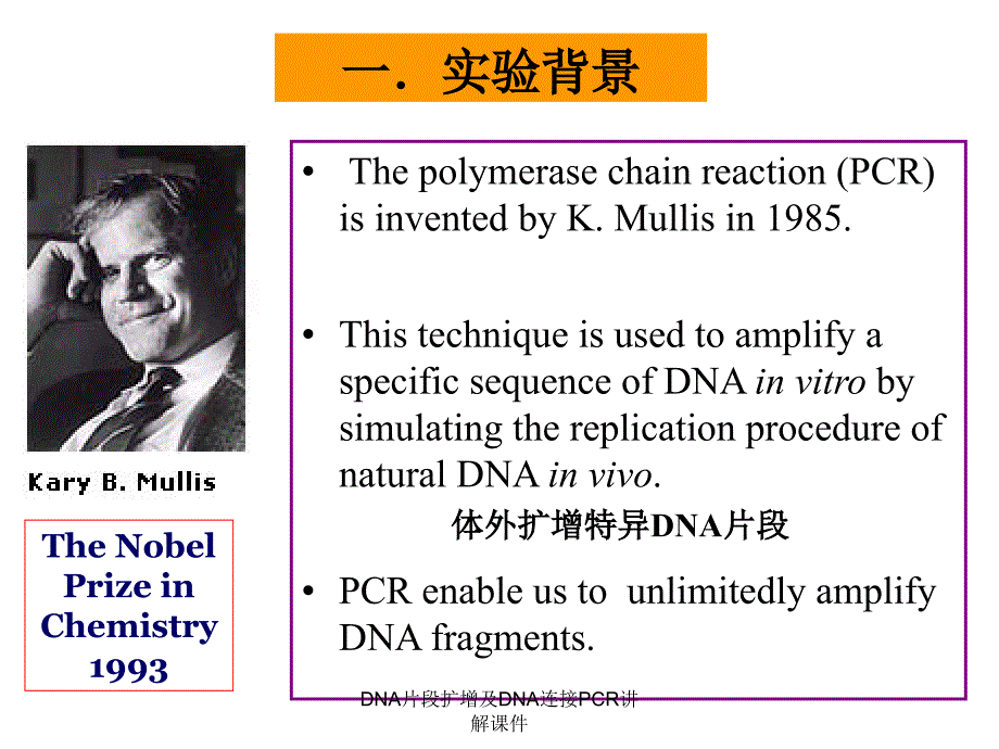 DNA片段扩增及DNA连接PCR讲解课件_第2页