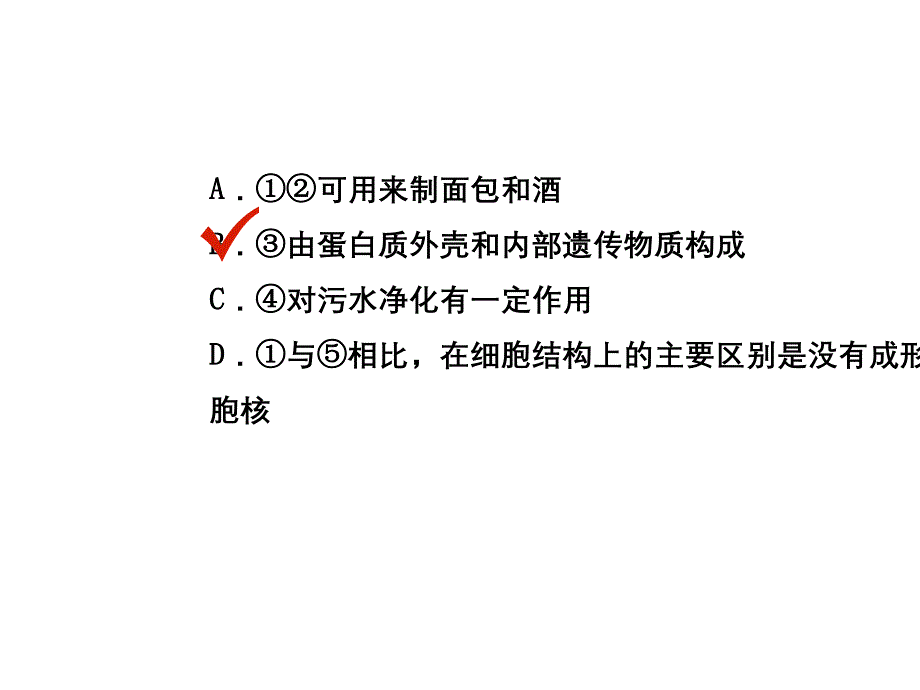 中考生物第2部分专题十微生物与生物技术复习课件_第3页