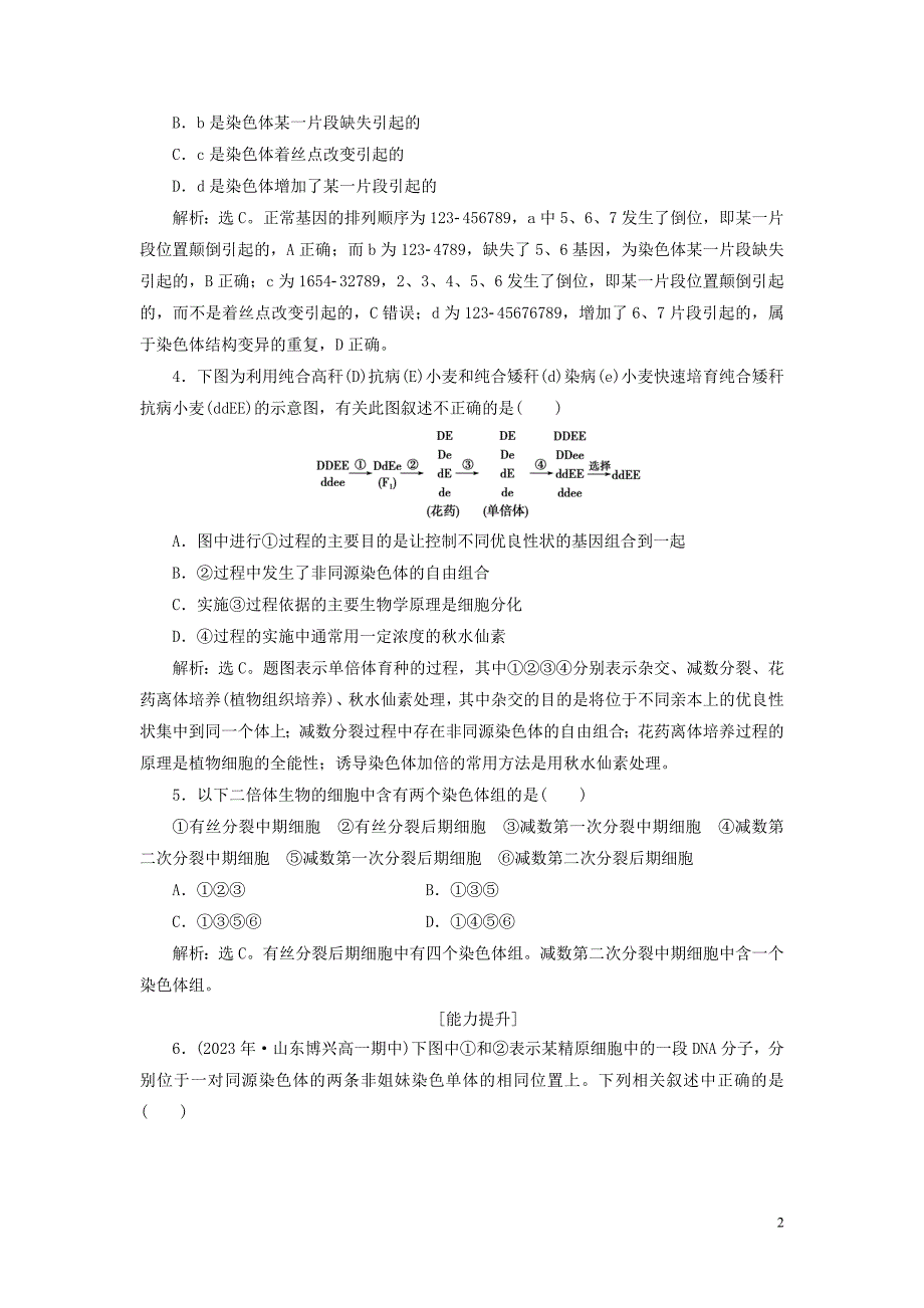 2023学年高中生物第5章基因突变及其他变异第2节染色体变异演练强化提升（人教版）必修2.doc_第2页