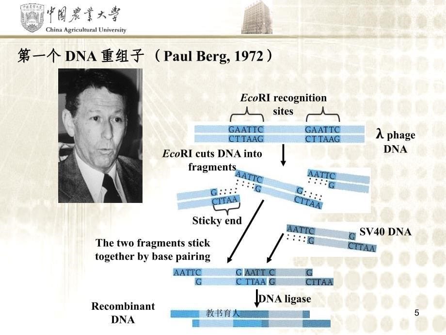 分子生物学导论-分子生物学研究方法[笔墨书苑]_第5页