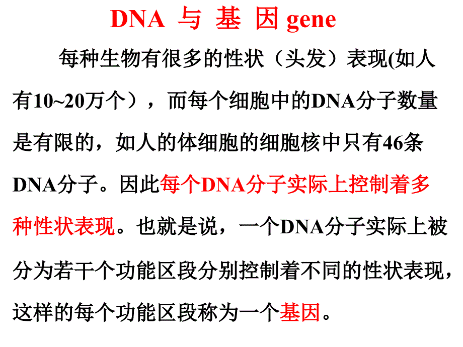 基因对状的控制_第4页