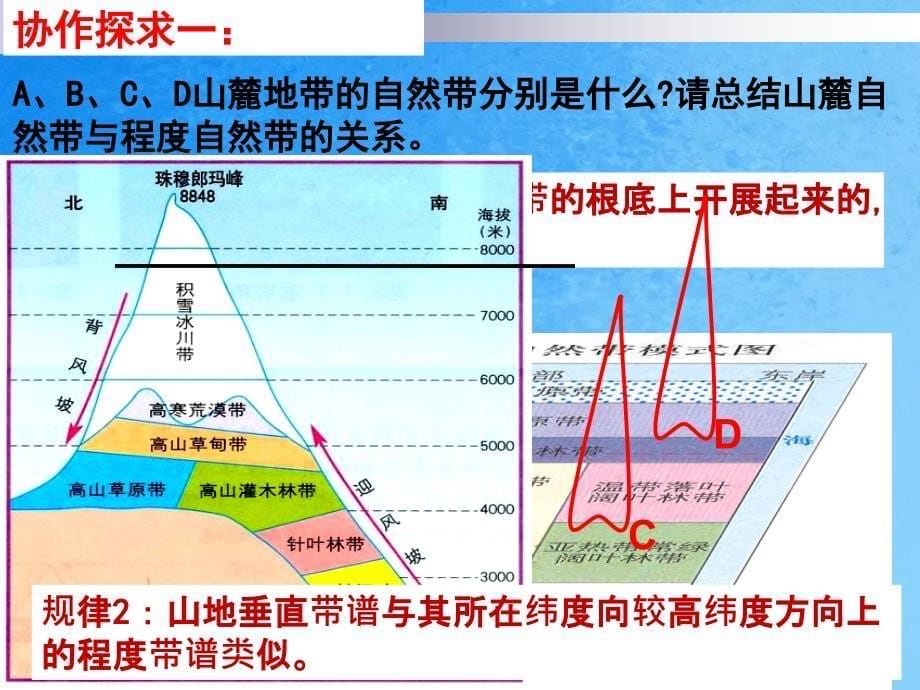 部级优课第二节自然地理环境的差异性1ppt课件_第5页