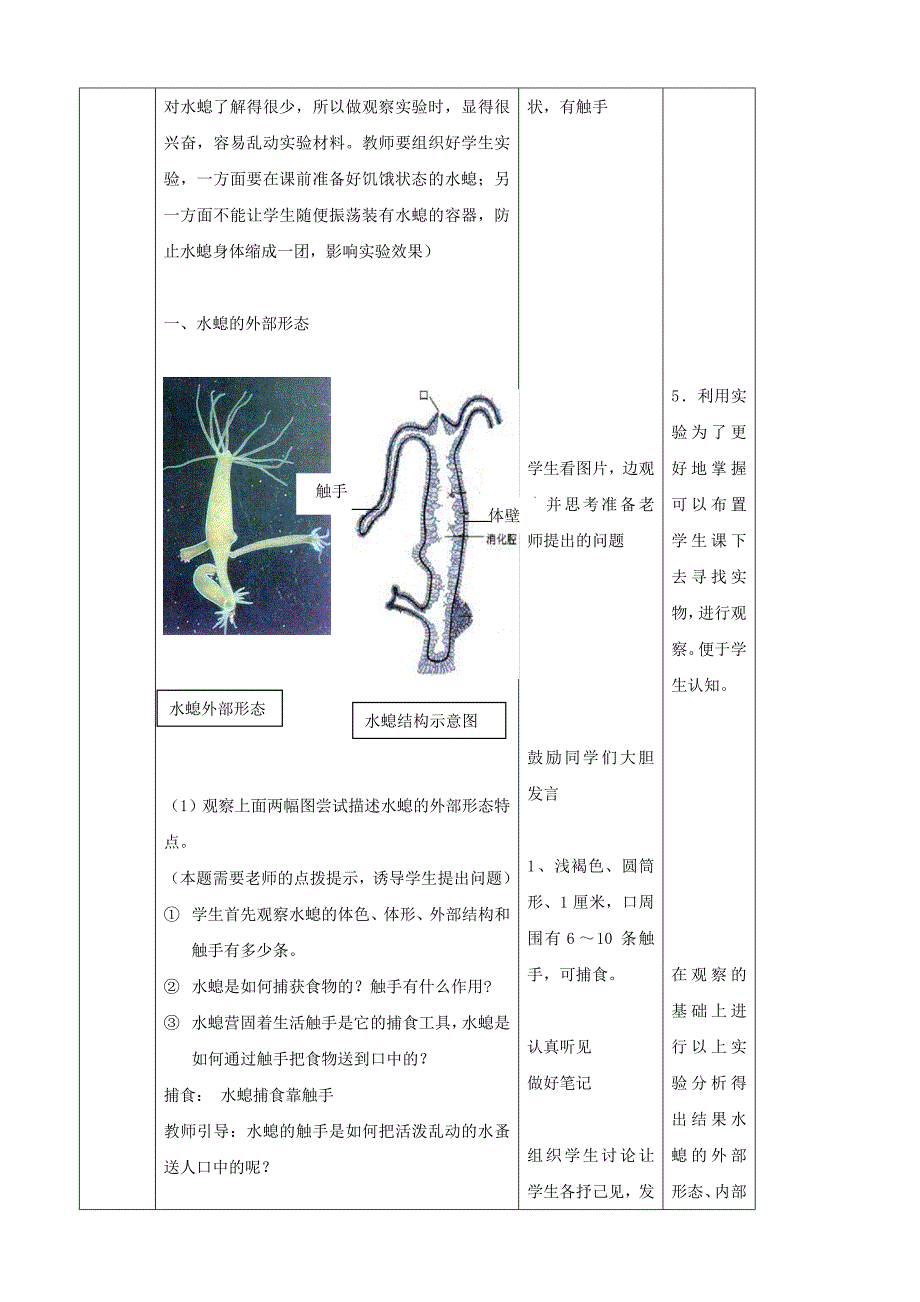 无脊椎动物的主要类群教案1.doc_第4页