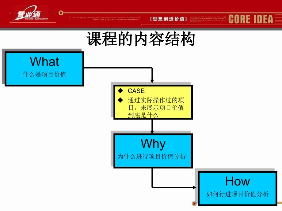 项目价值分析课件_第4页