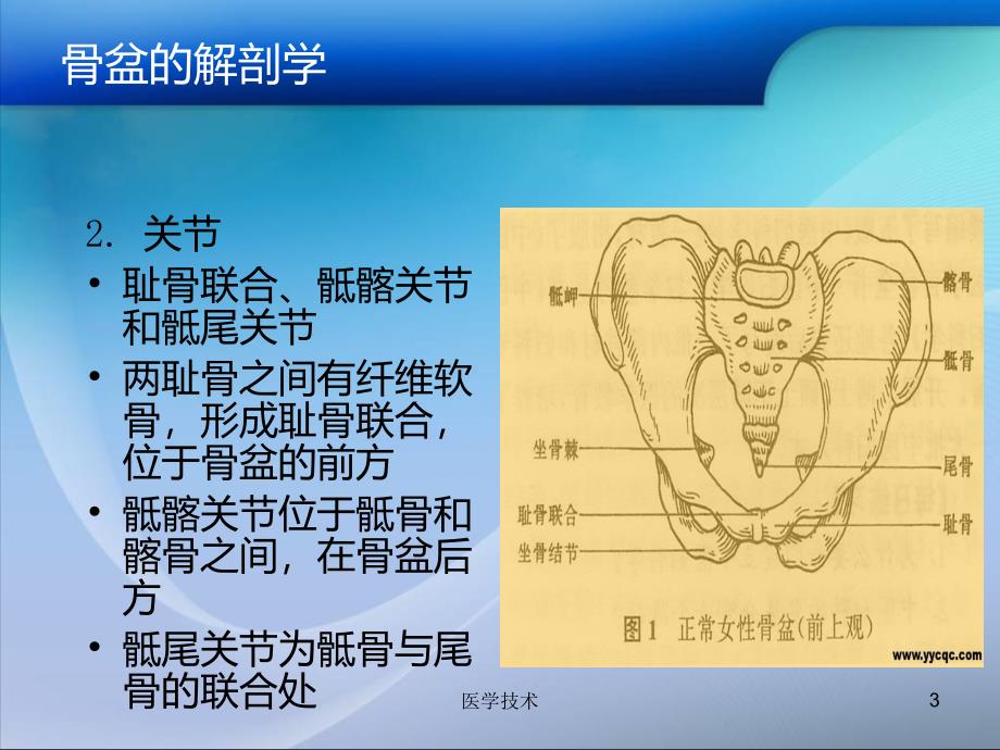 骨盆骨折病人的护理【医学技术】_第3页