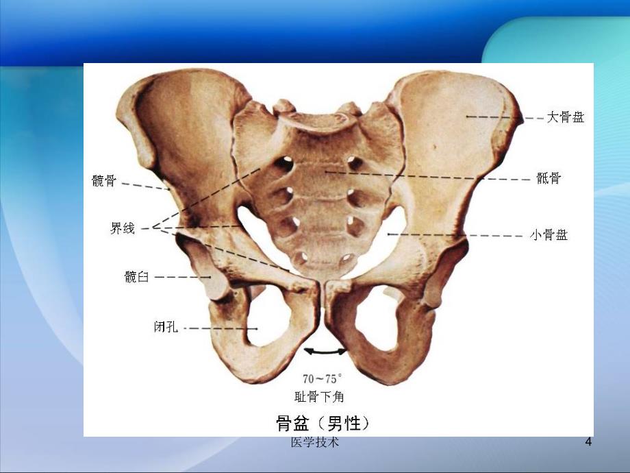 骨盆骨折病人的护理【医学技术】_第4页