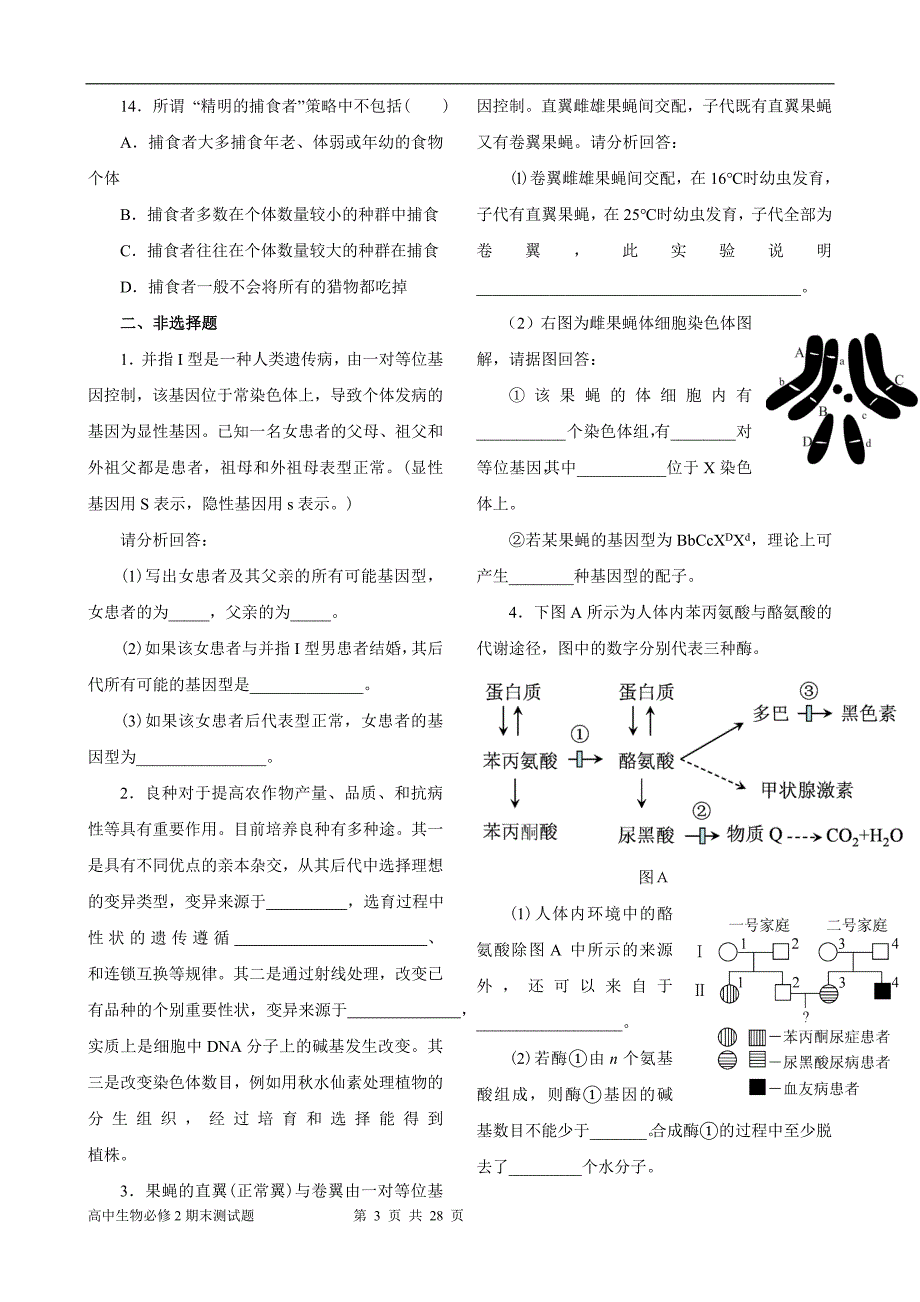 高中生物必修2综合测试题附答案_第3页