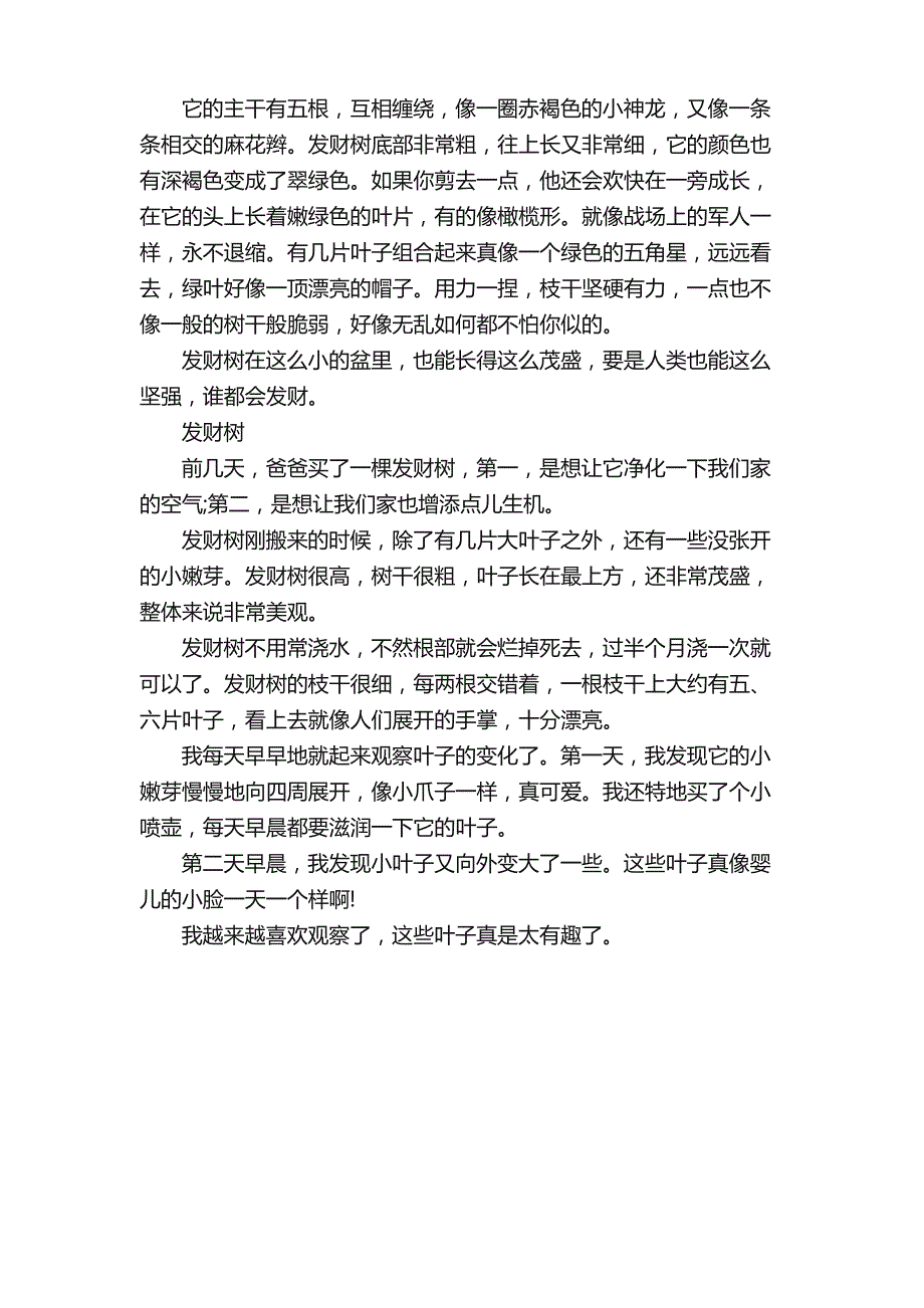 发财树的观察日记300字_第2页