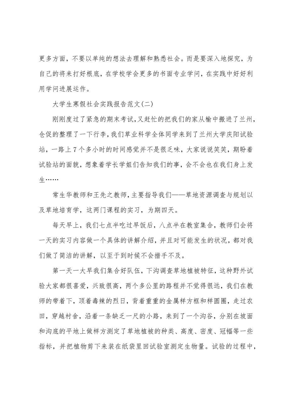 大学生寒假社会实践报告范文【三篇】.docx_第5页