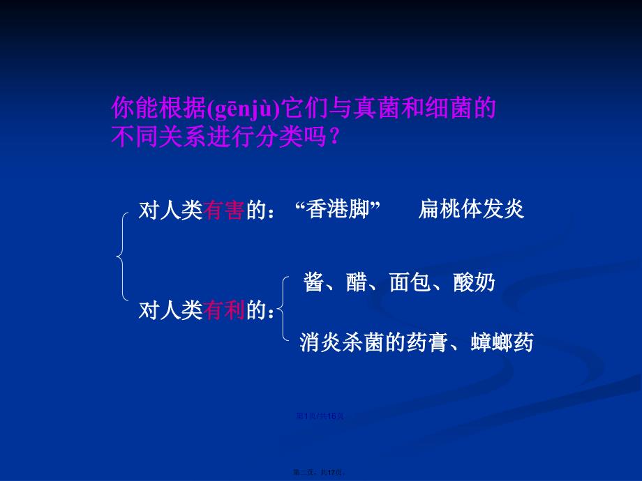 人类对细菌和真菌的利用PPT学习教案_第2页