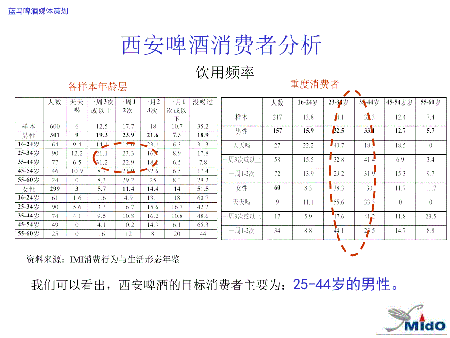 蓝马啤酒 媒体策划_第4页